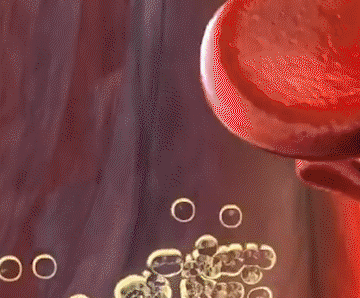 1688638286916378.gif 07095f1c575bfa97ad893ce793d8c80e.gif