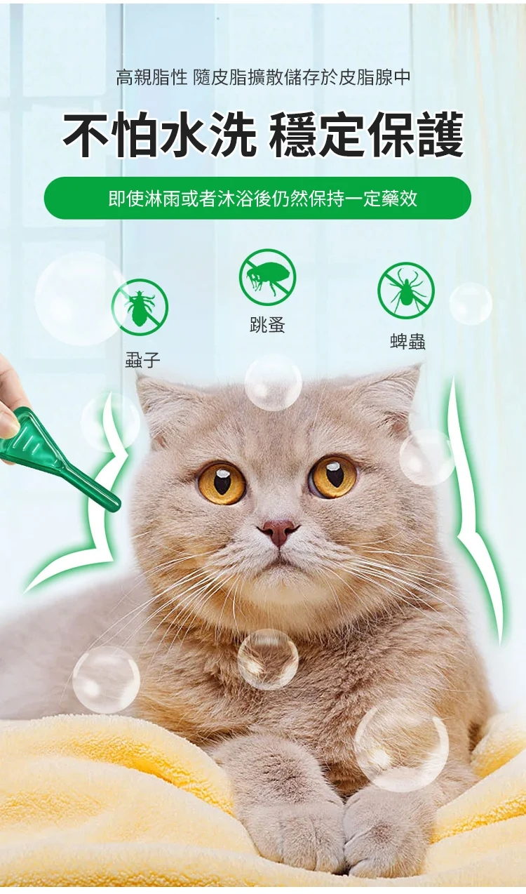 1690752499151996.png 09cd1f03499f67484d75fbb16d90948.png