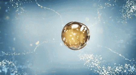 1698478146710644.gif 12.gif