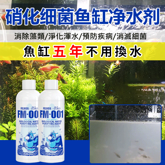 【10年老魚友推薦】告別魚缸水渾濁/腥臭/發黃/輕鬆打造空氣缸