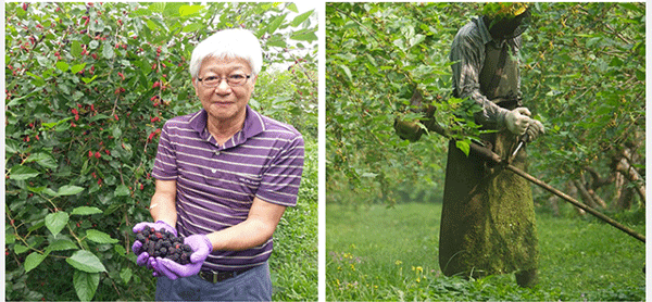 1699250889170801.gif 1699193588798105.gif