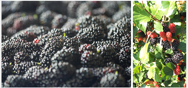 1699251206581516.gif 1699193687116228.gif