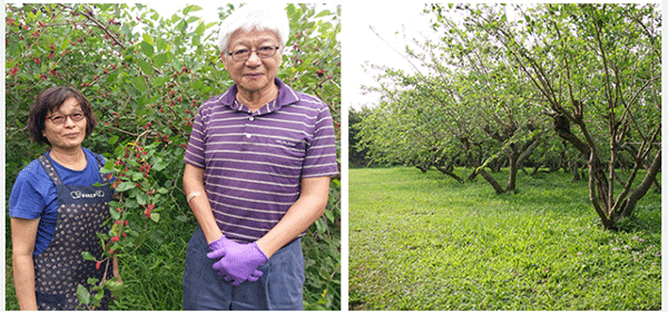 1699251406223810.gif 1699193772117467.gif