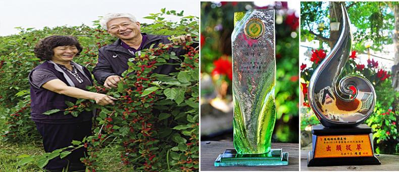 1699251414425237.jpg 1699193814288047.jpg