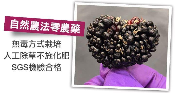 1699251503159829.jpg 1699194057484602.jpg