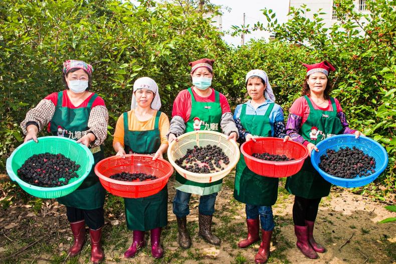 1699251517594528.jpg 1699194106416334.jpg