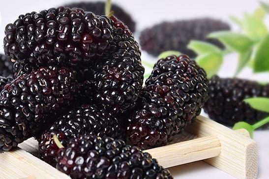 1699251535422443.jpg 1699194163561504.jpg