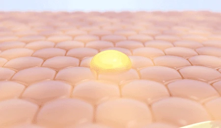 1701150079432438.gif 1.gif