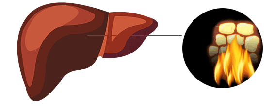 1701336761793213.gif 22_20231127154314_540.gif