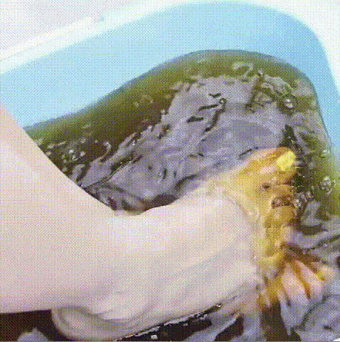 1702642168515680.gif 1.gif