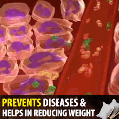 1702642213106561.gif 1.gif