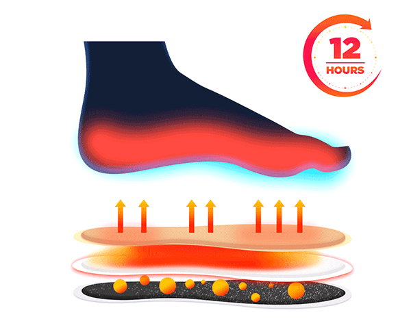 1702814167563000.gif 2.gif