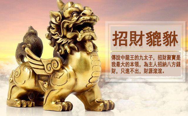 1703148263621306.jpg 1684861182639950.jpg