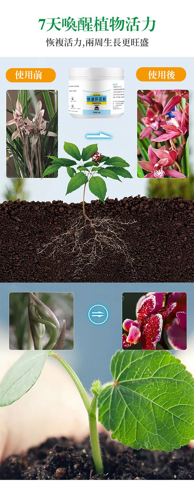 1703750311839429.png a38474bba9eaf0af427c7484ba2683f.png