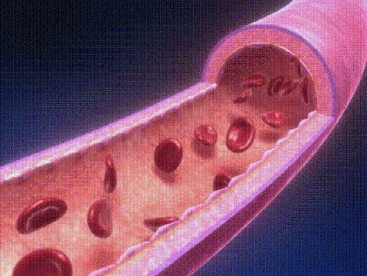 1706691735473718.gif ecdb6db8dc486202c332a7512e5acbeb.gif