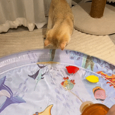 1718695504714596.gif 1.gif