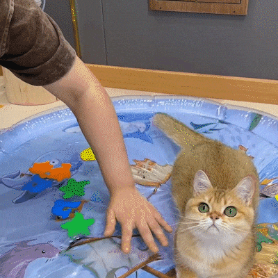 1718695529328100.gif 1.gif