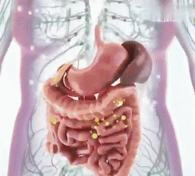 1718704153543516.gif 1.gif