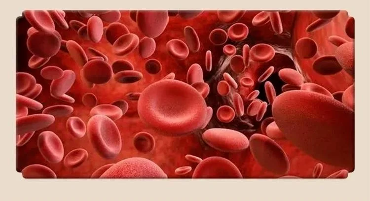 1718704289255812.png f954bd0501d542368f2affaa702fa77.png