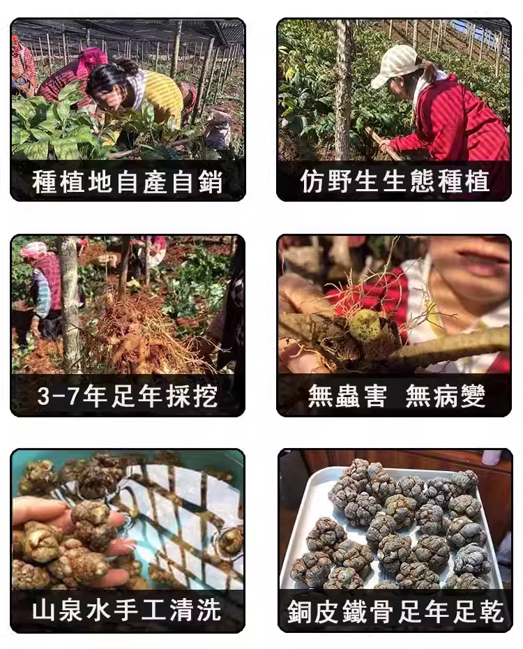 1718706153941094.png c998cee8d829055226af18c7dbc9c0f.png