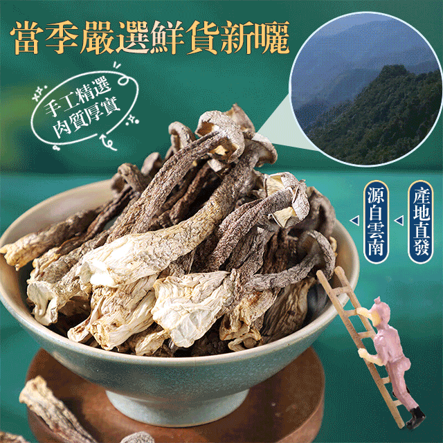  【煲湯炒菜下飯必備】山珍海味鹿茸菇