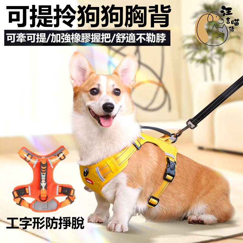 日本進口狗狗便攜式胸背帶 直接套穿 即套即穿 小中大型犬類都適用 促銷期間 買背心就送 防爆衝牽引繩 日本進口狗狗便攜式胸背帶 直接套穿 即套即穿 小中大型犬類都適用 促銷期間 買背心就送 防爆衝牽引繩